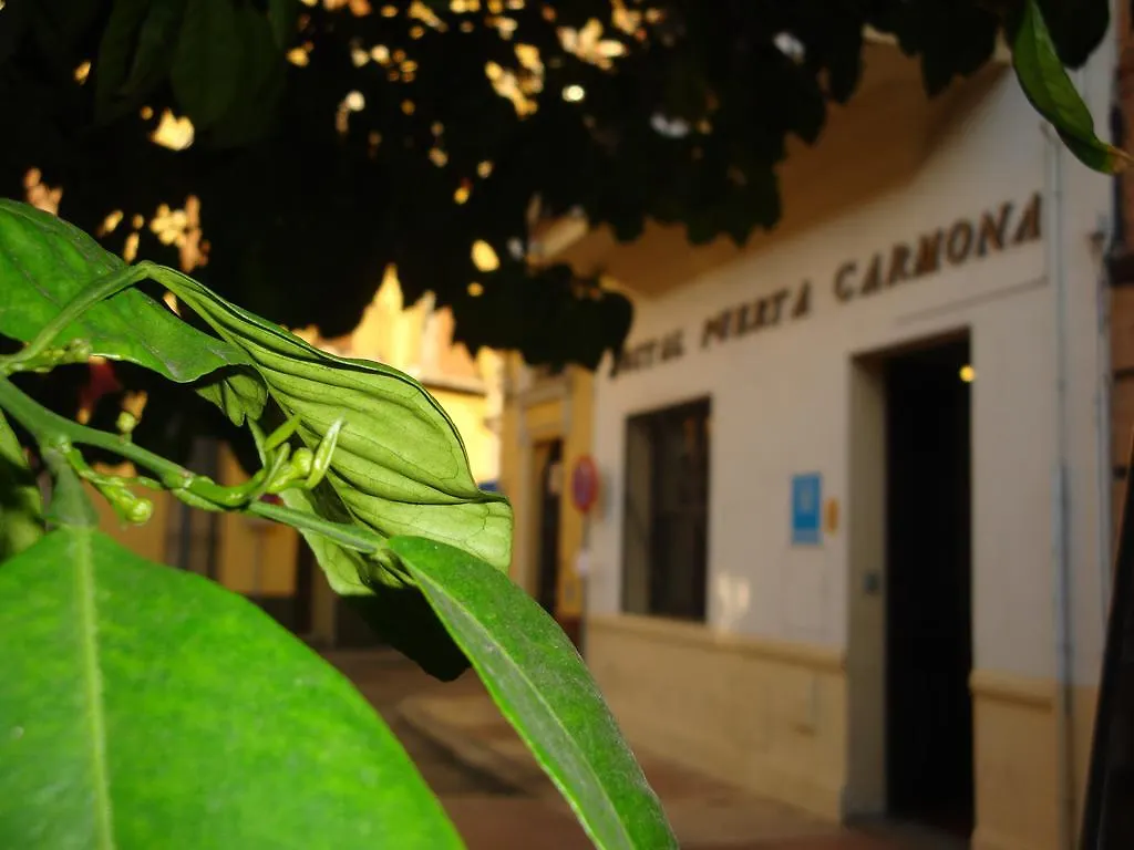 Hostal Puerta Carmona إشبيلية بيت ضيافة